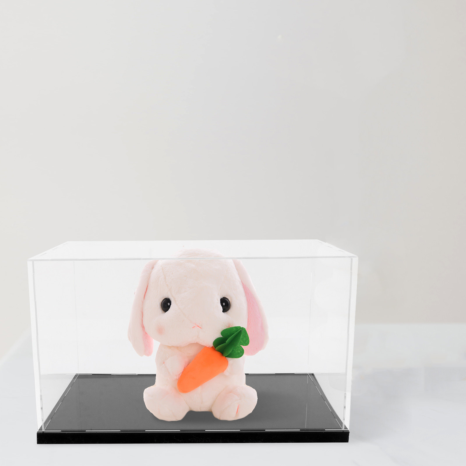1Pcs Acrylic Display Box Trans - Home Office Box recension och pris